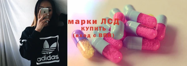 apvp Алзамай