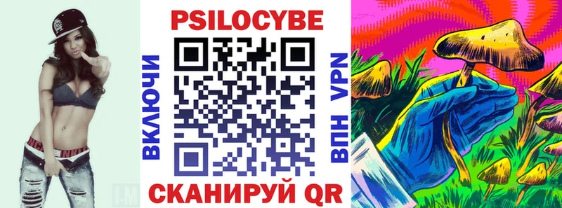 как найти закладки Игарка Псилоцибиновые грибы Psilocybe